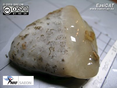 © 2004 SAEON TIC2004-381C.JPG